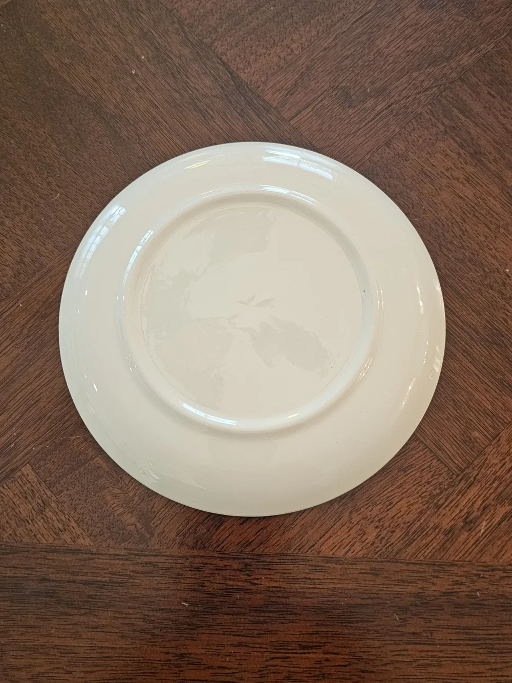 Vintage Blue Ridge Southern Potteries Dixie Dogwood Plate 6.25” MCM